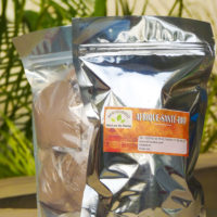 Trichomonas vaginalis