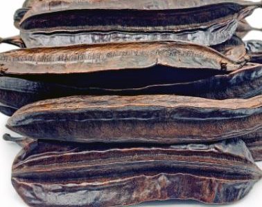 205- Fruit 4 Sides Virtues: Medicinal Virtues of Fruit 4 Sides For Health