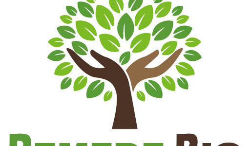 How to Get Rid of Hepatitis B: Know More About Hepatitis B