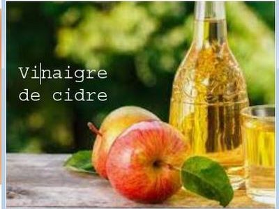 What Diet Before Pregnancy?