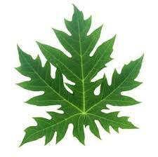 How To Cure Asthma Naturally?