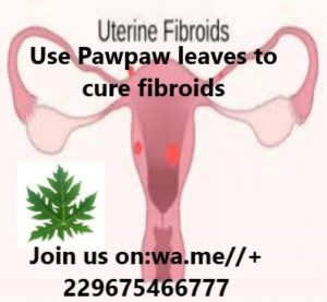 My Fibroma Has Disappeared Naturally