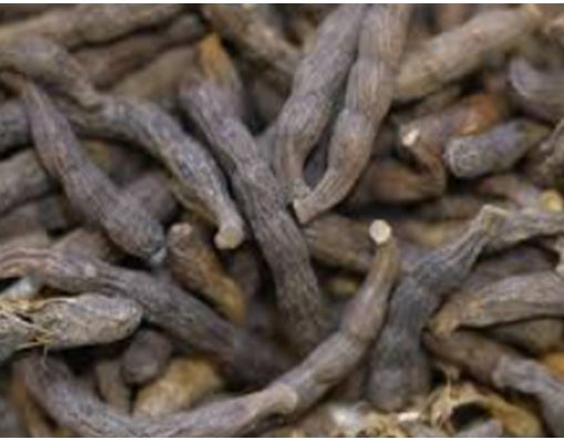 Alternative Treatements For AIDS and Herbal Tea to Treat AIDS