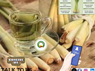 445-Lemongrass Health Benefit In Benin