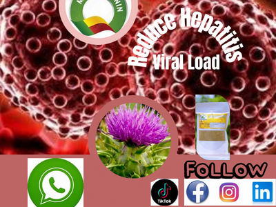 400-Best Herbal To Reduce Hepatitis Viral Load