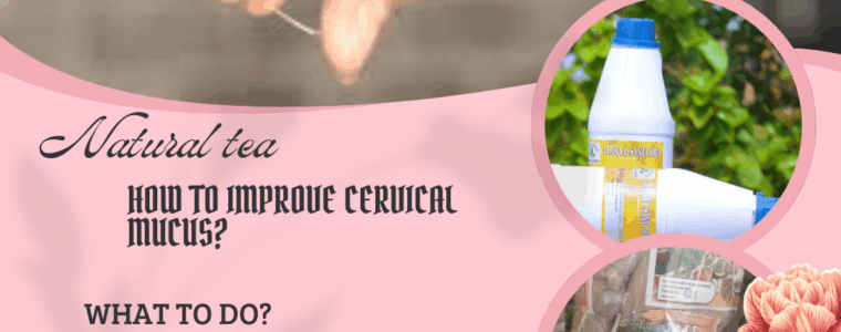 474-How To Improve Cervical Mucus Fertility And Best Food To Eat?